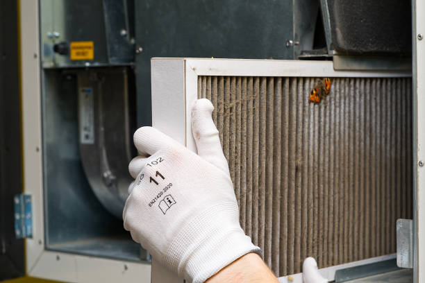 Best Professional Duct Cleaning Services  in Heathrow, FL